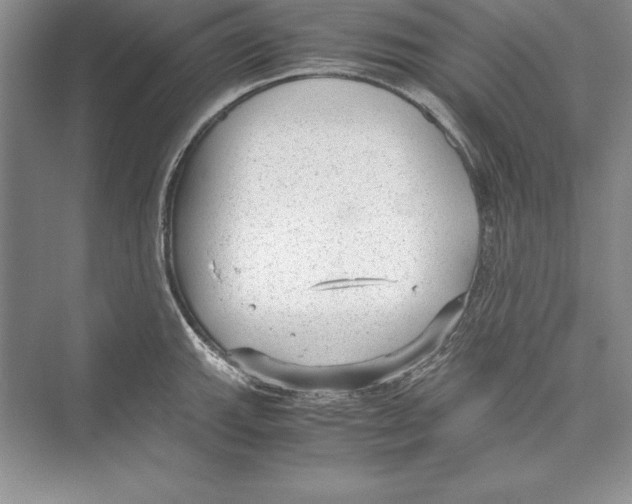 X0000072501143200608111621