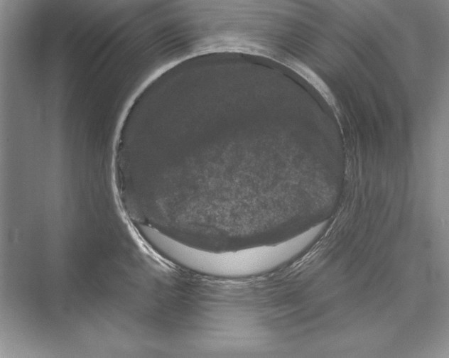 X0000072501144200608111621