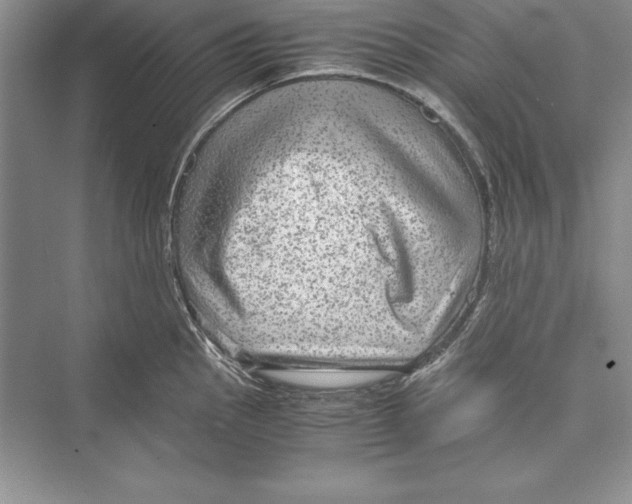 X0000072501145200608111621