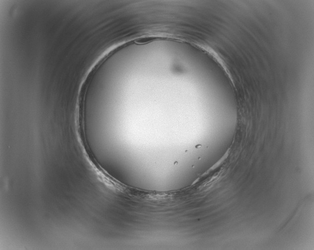 X0000072501147200608111621