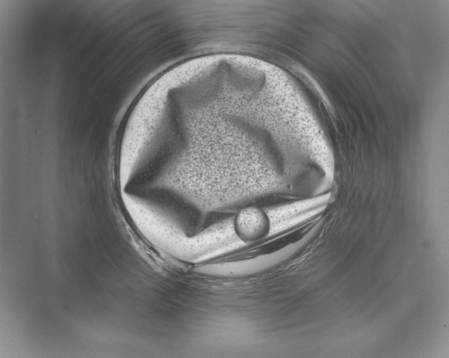 X0000072501148200608111621