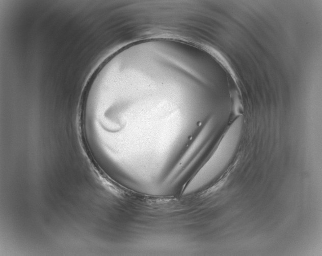 X0000072501149200608111621