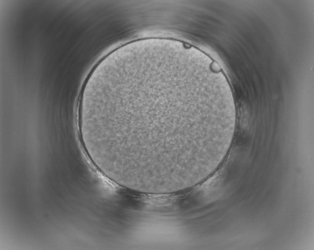 X0000072501150200608111621