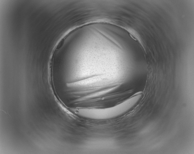 X0000072501151200608111621