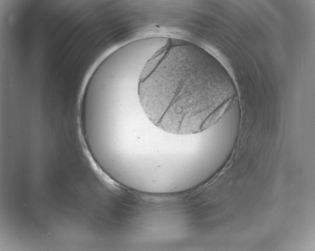 X0000072501152200608111621