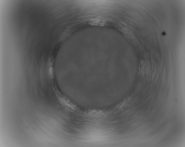 X0000072501154200608111621