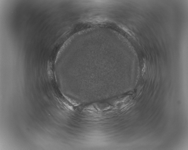 X0000072501156200608111620