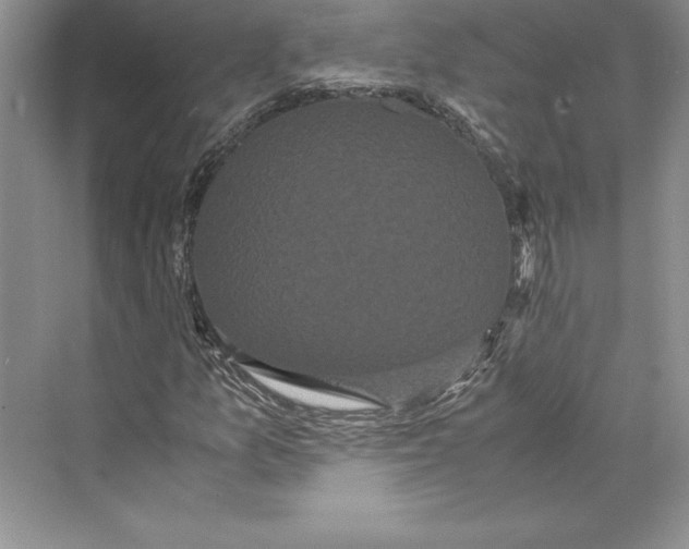 X0000072501157200608111620