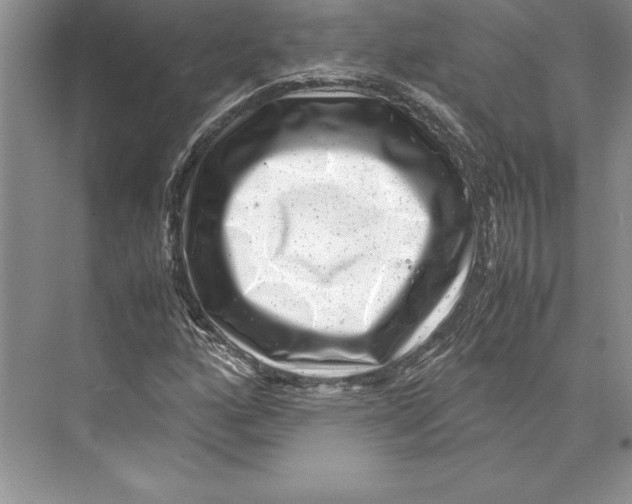 X0000072501160200608111620