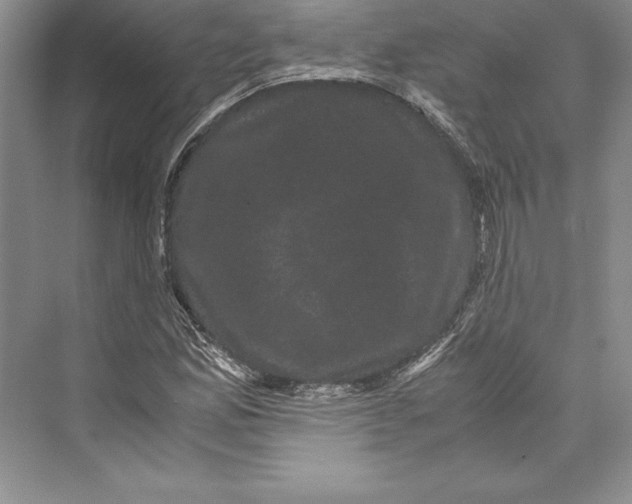 X0000072501165200608111620