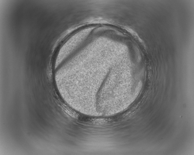 X0000072501167200608111620