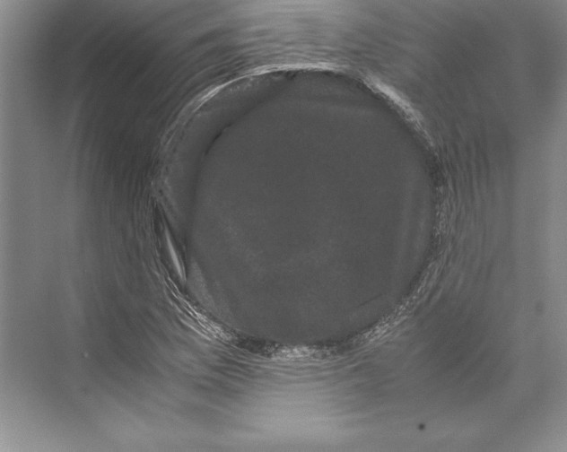 X0000072501169200608111620