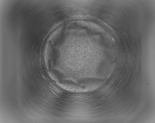 X0000072501170200608111620