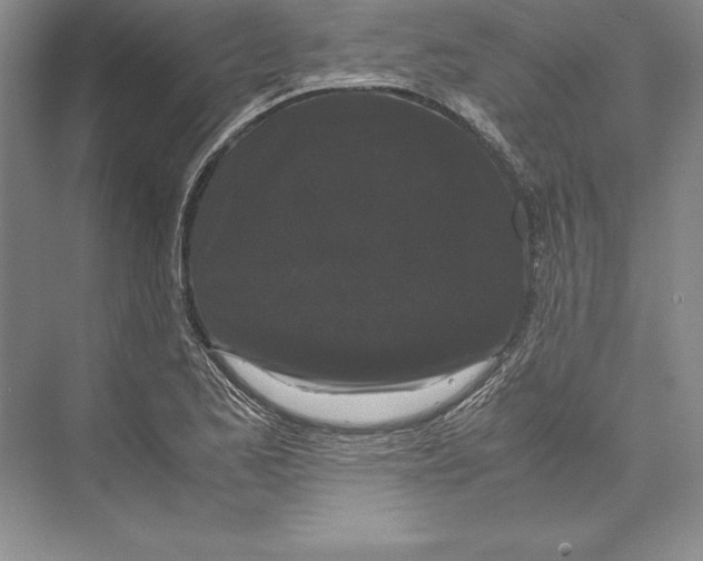 X0000072501173200608111620