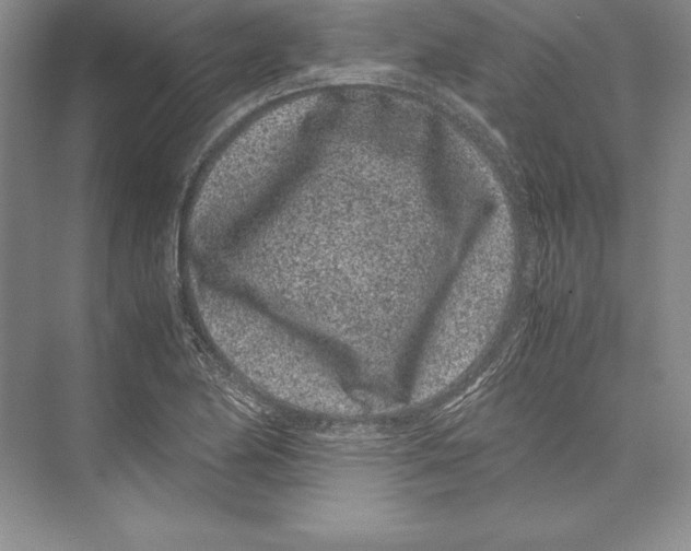 X0000072501174200608111620