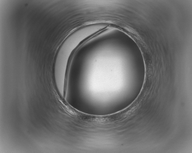 X0000072501177200608111620