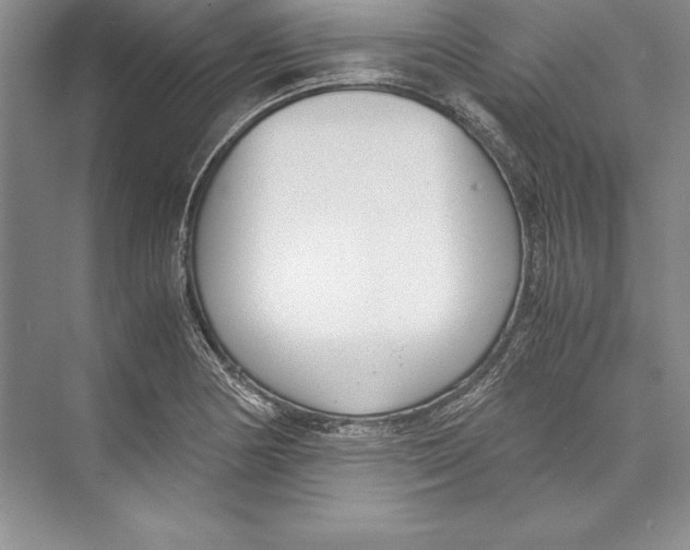 X0000072501178200608111620