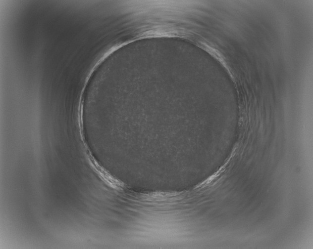 X0000072501179200608111620