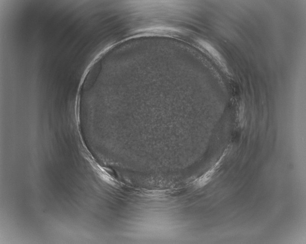 X0000072501180200608111620