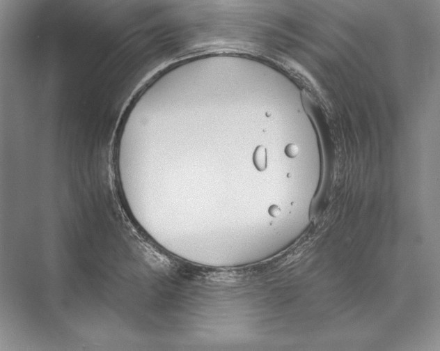 X0000072501182200608111620