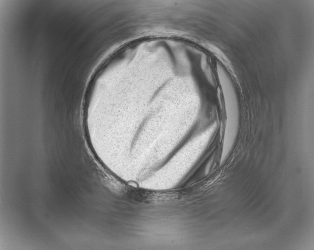 X0000072501183200608111620