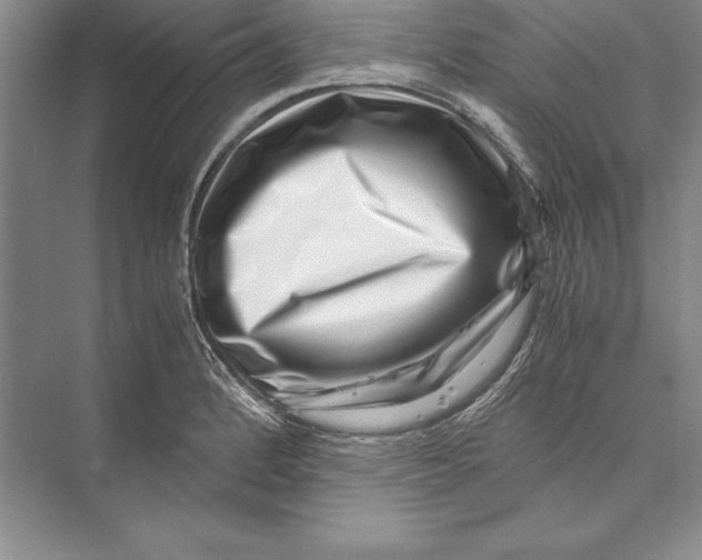 X0000072501184200608111620