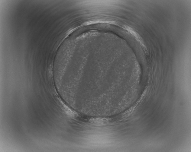 X0000072501185200608111620