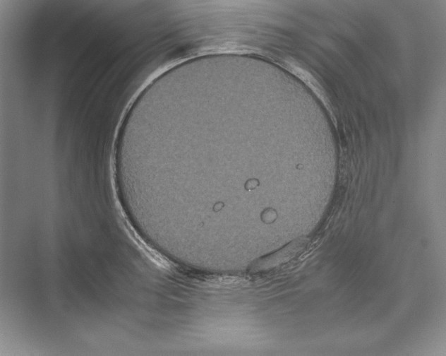 X0000072501187200608111620