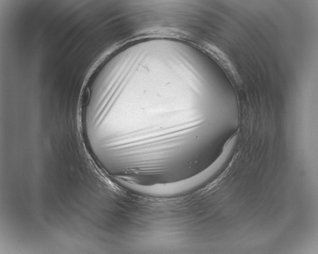 X0000072501188200608111620