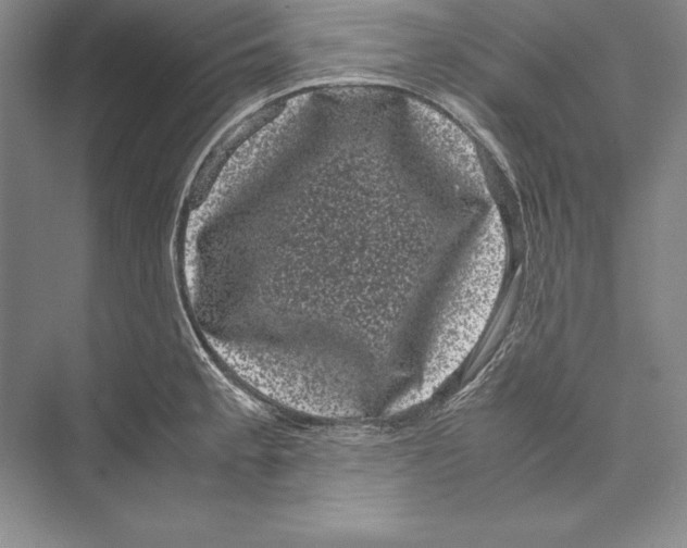 X0000072501189200608111620