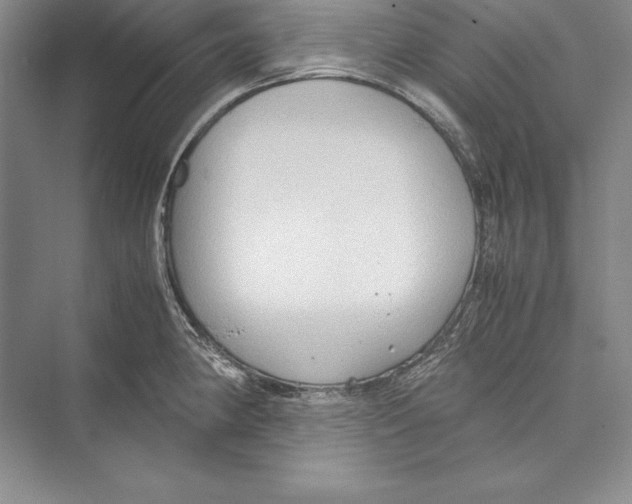 X0000072501190200608111620