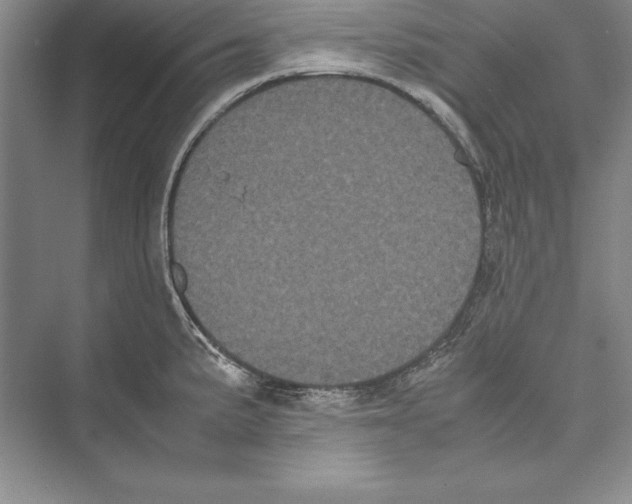 X0000072501191200608111620