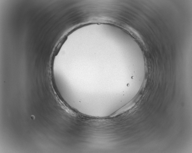 X0000072501192200608111620