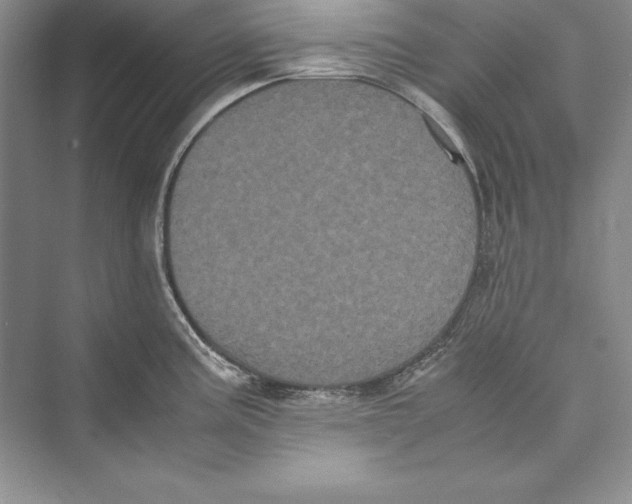 X0000072501195200608111620