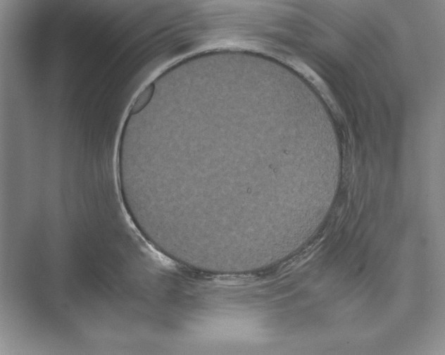 X0000072501199200608111620