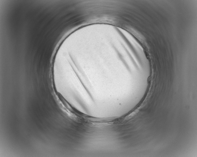 X0000072501200200608111620