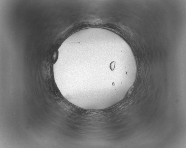 X0000072501205200608111619