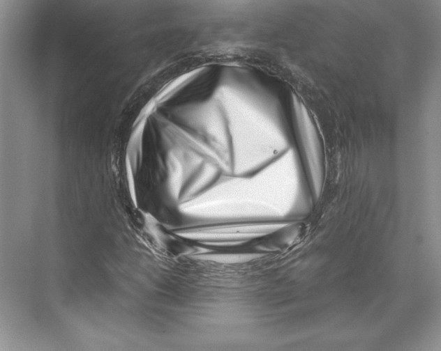 X0000072501206200608111619