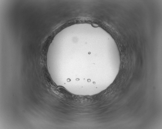 X0000072501207200608111619