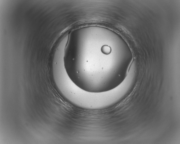 X0000072501210200608111619