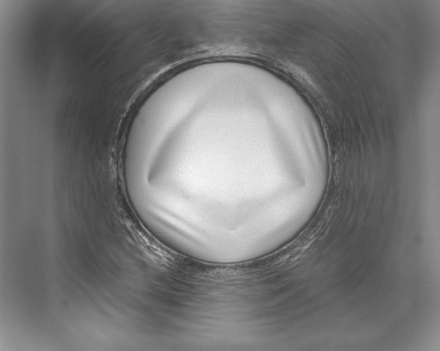 X0000072501212200608111619