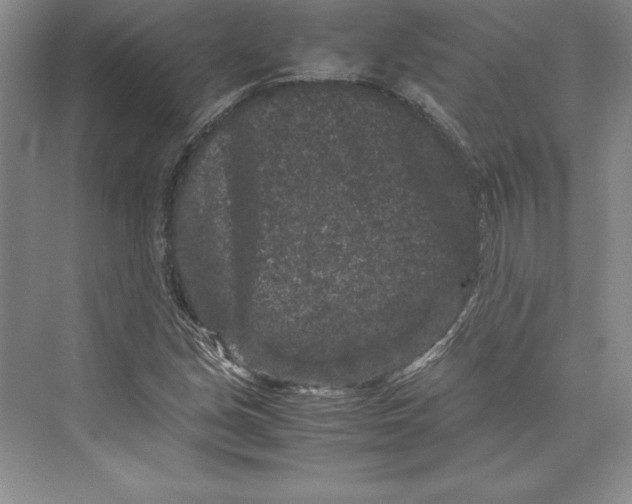 X0000072501213200608111619