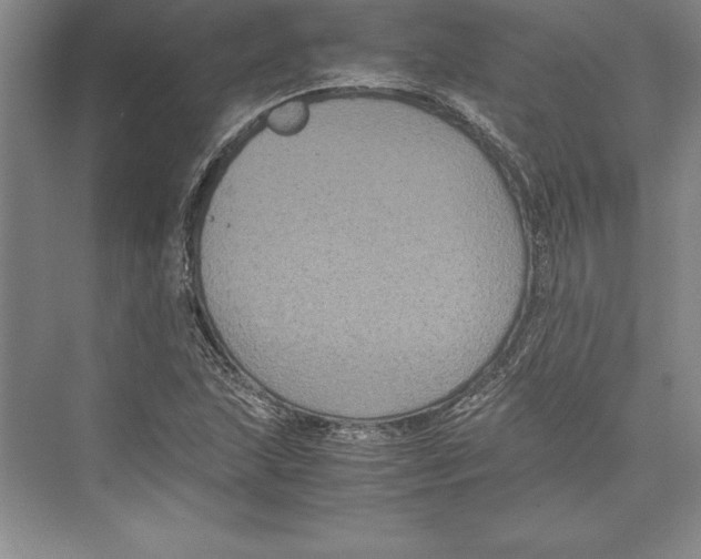 X0000072501215200608111619