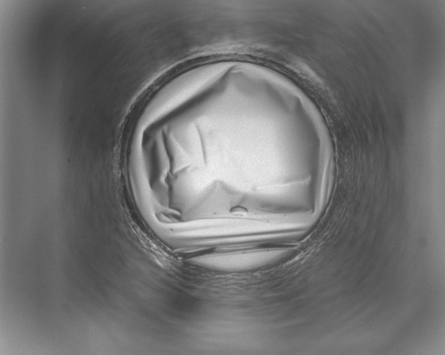 X0000072501216200608111619