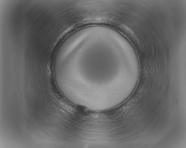 X0000072501218200608111619