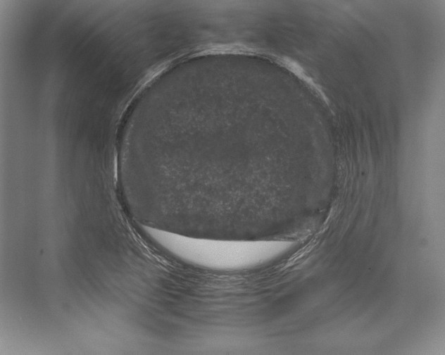 X0000072501221200608111619