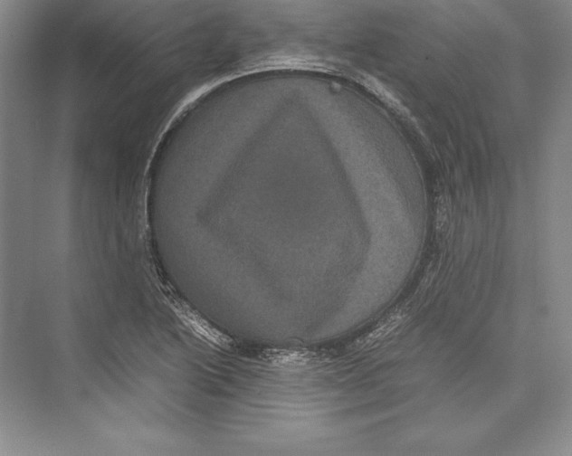 X0000072501222200608111619