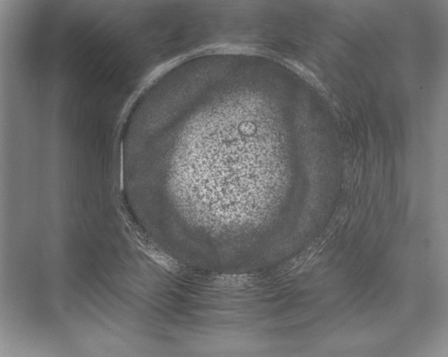 X0000072501223200608111619