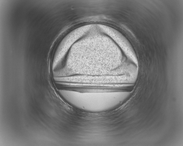 X0000072501224200608111619