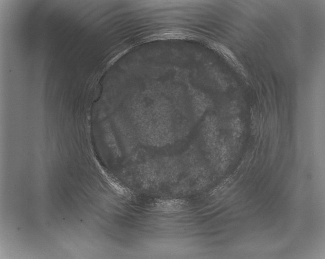 X0000072501225200608111619